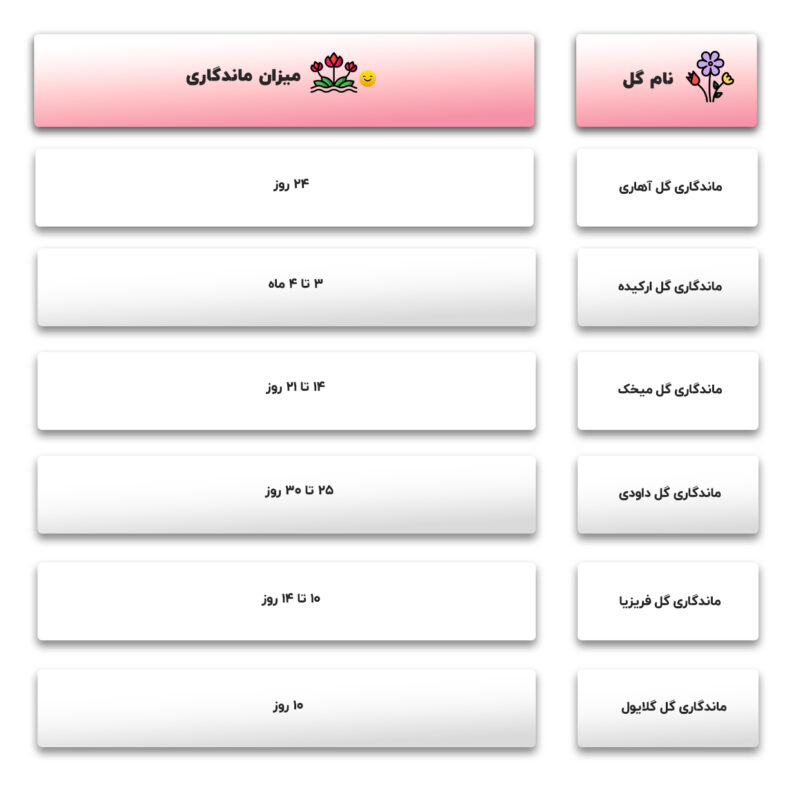 گل های ماندگار